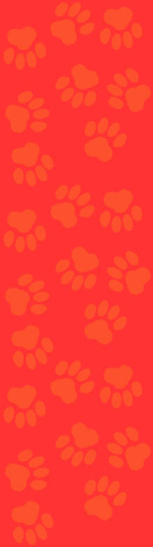 Sidebar background with paws