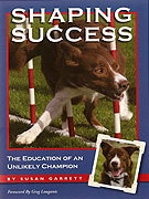 Bookcover: Shaping Success