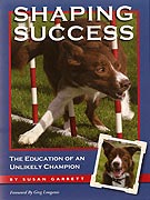 Book Cover: Shaping Success